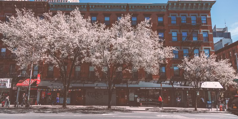 Harlem walking tour through historic streets