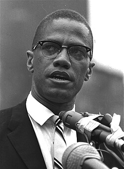 malcolm x portrait